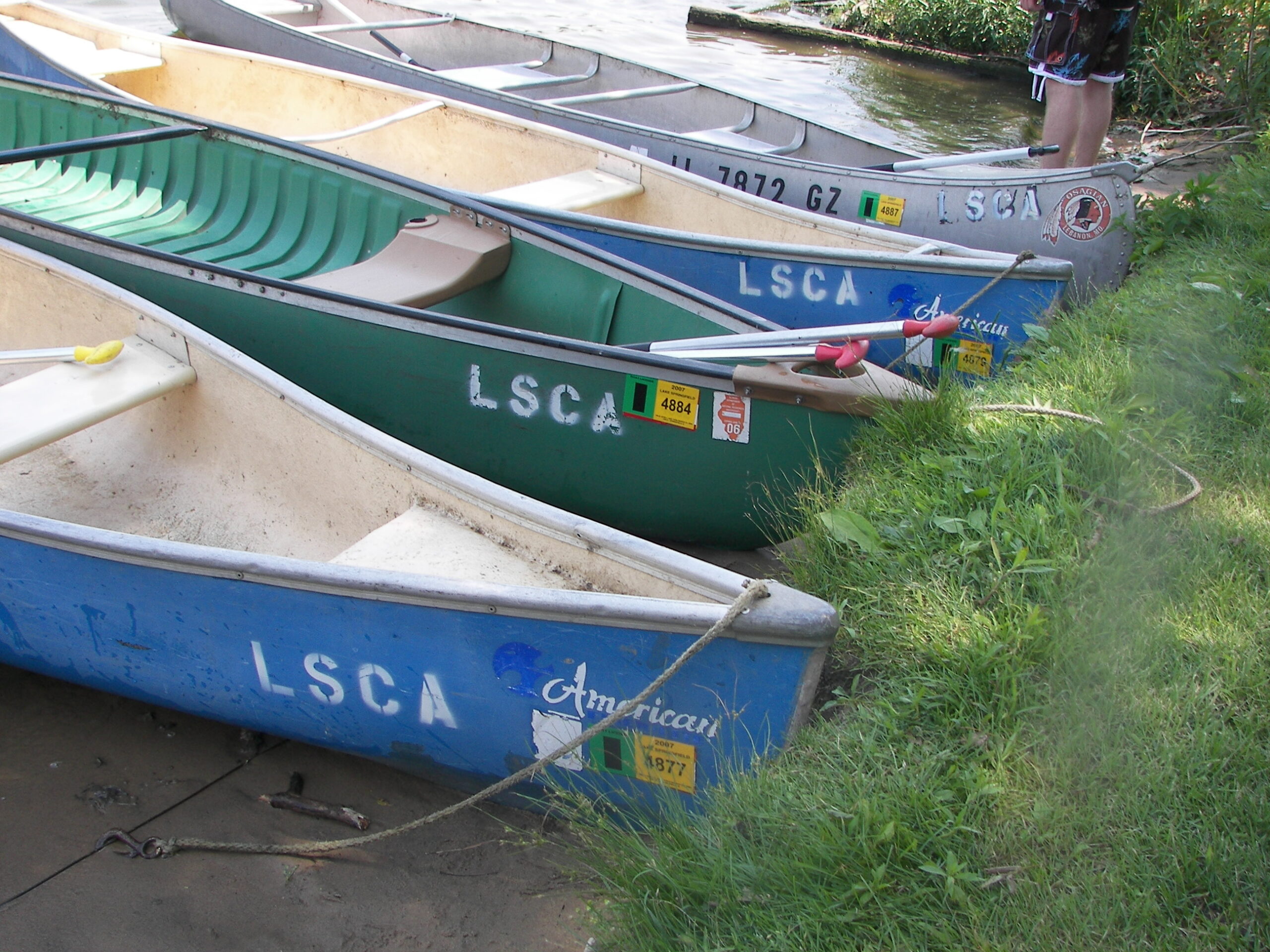 Four canoes tied up on a grassy riverbank with person standing nearby.