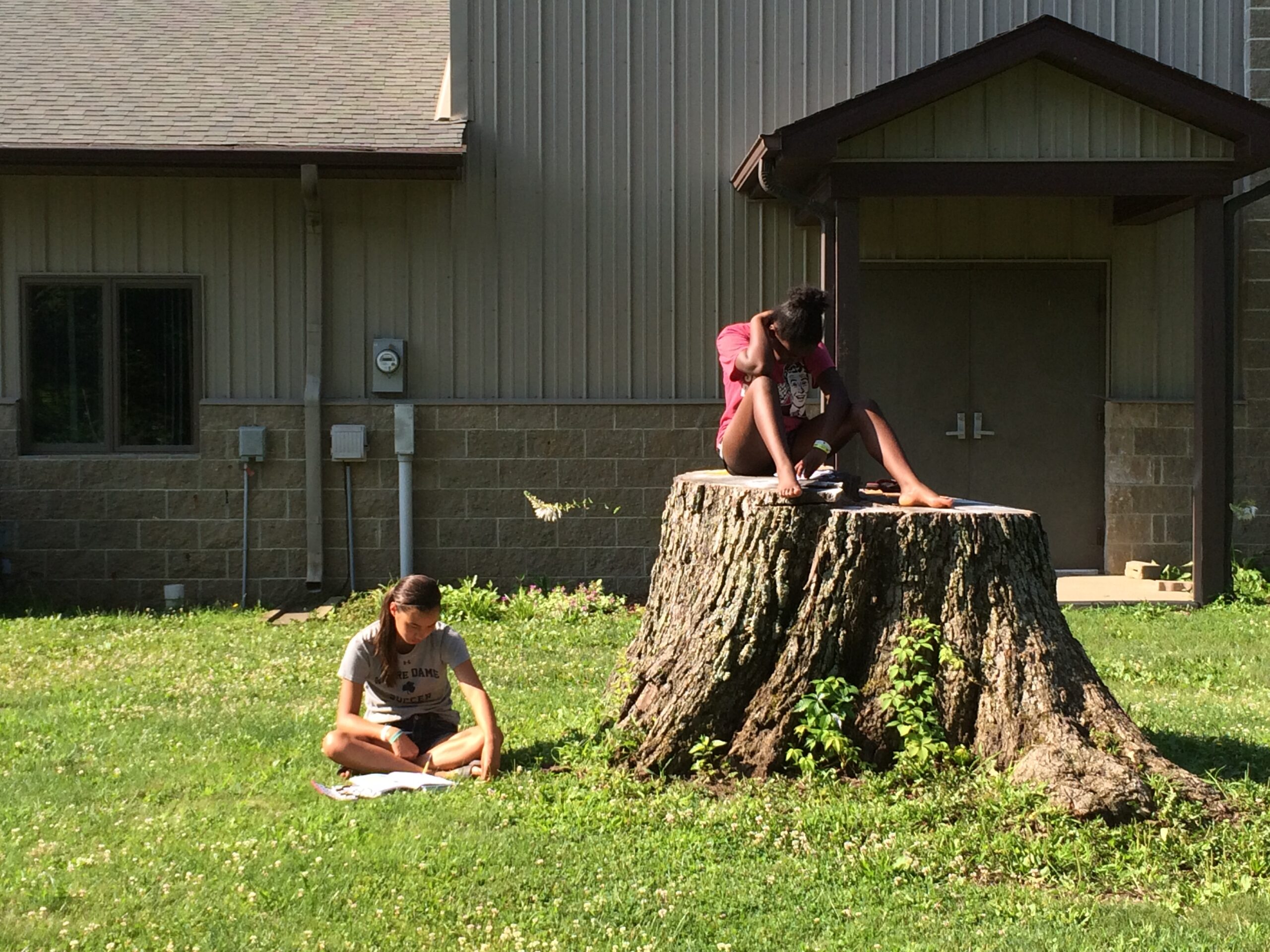 Two girls studying outside, one sitting on a large tree stump and the other on the grass.